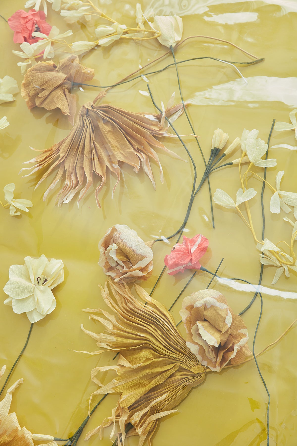 Dahlia Papirblomst - Gul